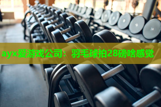 ayx爱游戏公司：羽毛球拍28磅啥感觉