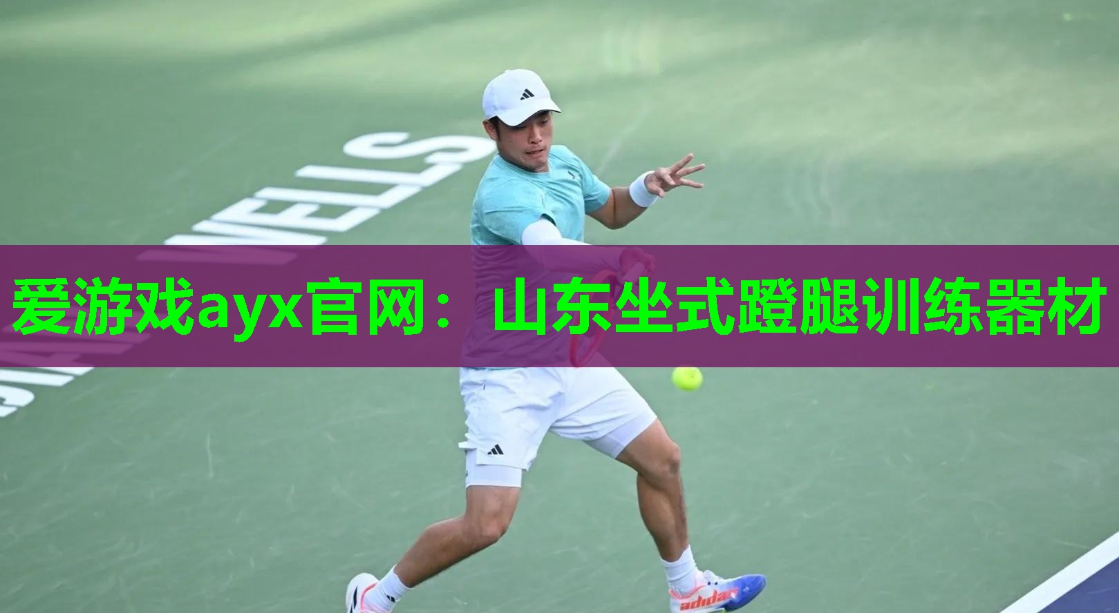 山东坐式蹬腿训练器材 山东坐式蹬腿训练器材
