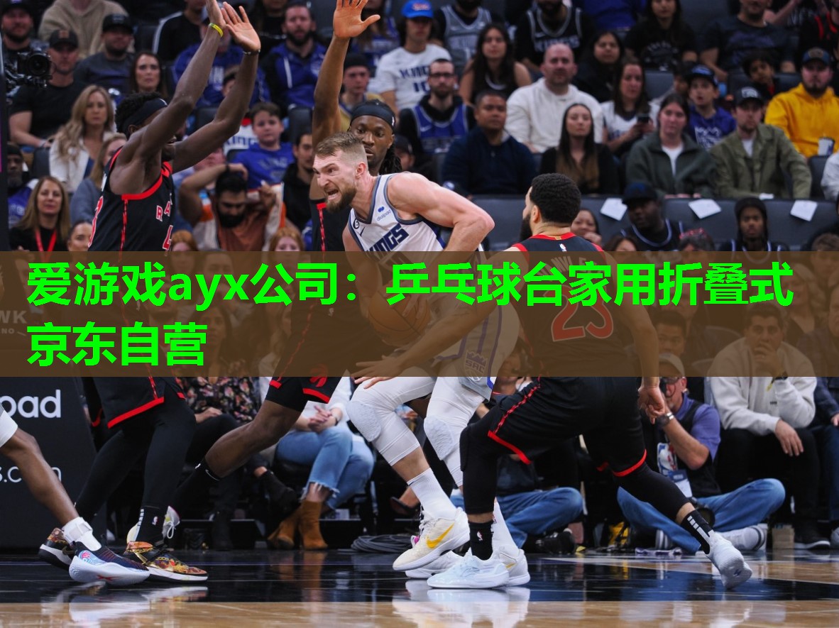 乒乓球台家用折叠式京东自营